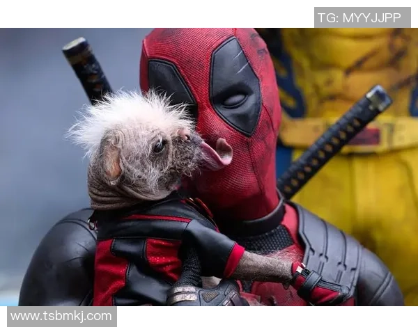 死侍与足球明星的奇妙邂逅揭开超级英雄与运动巨星的幽默冒险之旅