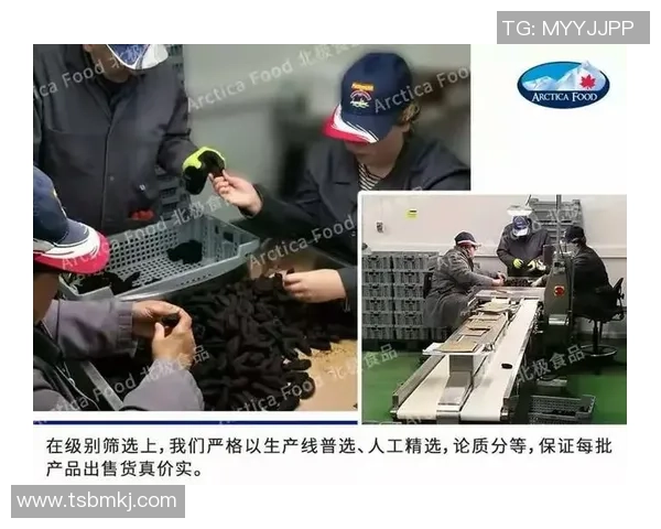 足球明星代言海参背后的故事与健康之道揭秘